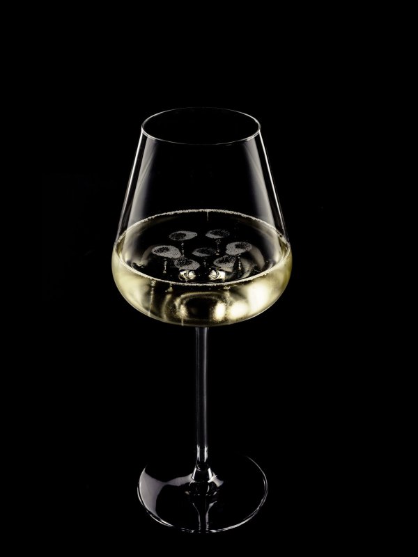 Glassserie "Etoilé" Sektglas 480ml (2)